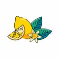 Lemon logo. Summer fruit. Lemon flower Royalty Free Stock Photo